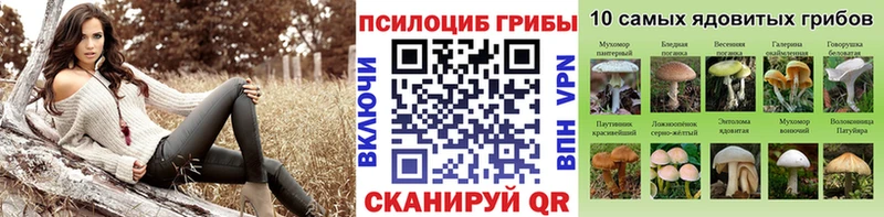 Псилоцибиновые грибы Cubensis  Краснообск 
